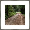 Like A Road Leading Home Framed Print