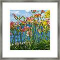 Lilies At The Waterfront Framed Print