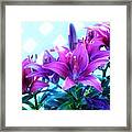 Lily Abstracts Framed Print