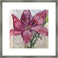 Lily Dressed In Pink Framed Print