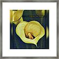 Lily From The Valley 3 Framed Print