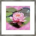Lily Hearted Framed Print