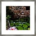 Lily Pond In Ruins. Usvi Framed Print