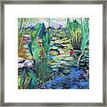 Lily Pond Framed Print