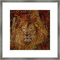 Lion Of Judah Square Framed Print