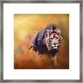 Lion - Pride Of Africa 3 - Tribute To Cecil Framed Print