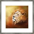 Lion - Pride Of Africa II - Tribute To Cecil Framed Print