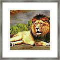 Lion Resting Framed Print