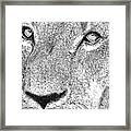 Lion Sketch Framed Print