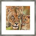 Lioness And Cub Framed Print