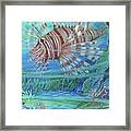 Lionfish Blues Framed Print