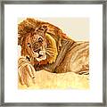 Lions Framed Print