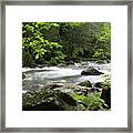 Litltle River 1 Framed Print