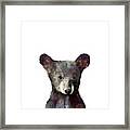 Little Bear Framed Print