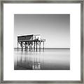 Little Blue In Black And White Framed Print