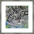 Little Cat Framed Print