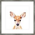 Little Deer Framed Print