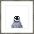 Little Penguin Framed Print