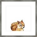 Little Squirrel Framed Print