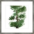 Little Zen Tree 144 Framed Print