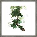 Little Zen Tree 154 Framed Print