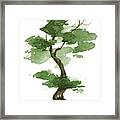 Little Zen Tree 208 Framed Print
