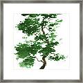 Little Zen Tree 365 Framed Print