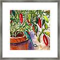 Lizard In Hot Sauce Framed Print