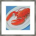 Lobsta Time Framed Print