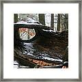 Log Eye In Winter Framed Print