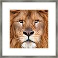 Lion Close Up Creative Framed Print