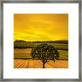 Lone Tree At Sunset Framed Print