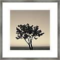 Lone Tree At Twilight Toned Framed Print