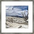 Lone Tree Framed Print