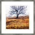 Lone Tree On Hill In Winter Framed Print