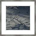 Loneliness In The Cold Framed Print