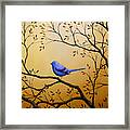 Lonely Night By Amy Giacomelli Bird Art Framed Print