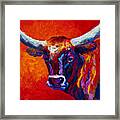 Longhorn Steer Framed Print