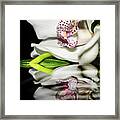 Look Beyond The Imperfections Framed Print