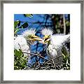 Look - I Have Wings Framed Print