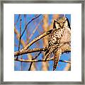 Look In My Eyes Framed Print