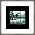 Looking Out The Window Framed Print