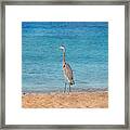 Looking Out To Sea Framed Print