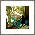 Looking Outside Framed Print