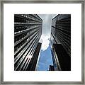 Looking Up Framed Print