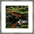 Loon And Chick Framed Print