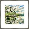 Loon Island Framed Print