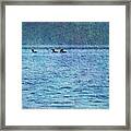 Loons On The Lake Framed Print