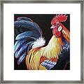 Lori's Rooster 2 Framed Print