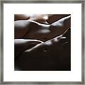Lost In A Dream Framed Print
